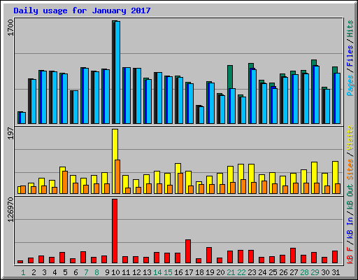 Daily usage for January 2017