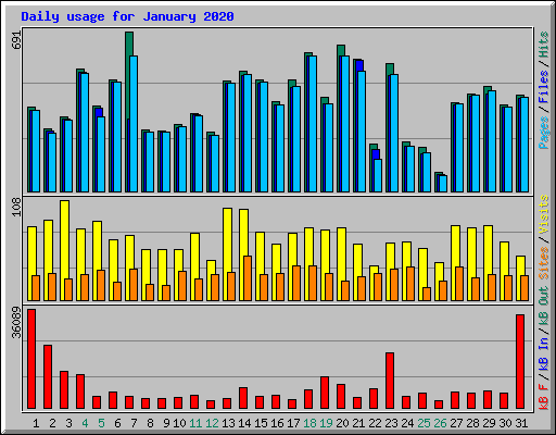 Daily usage for January 2020