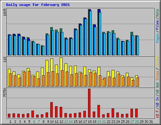 Daily usage for February 2021