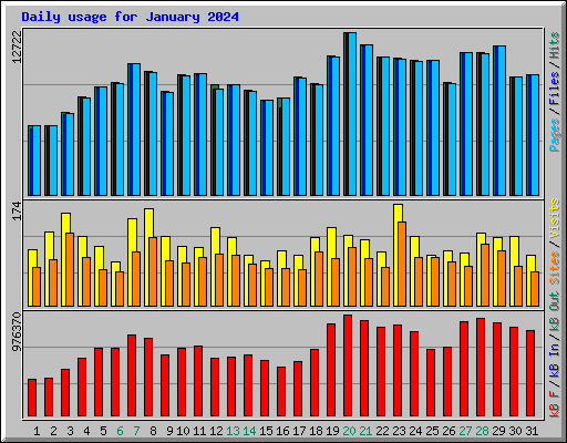 Daily usage for January 2024