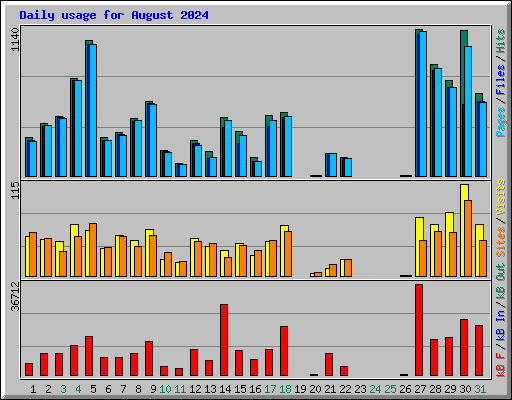 Daily usage for August 2024