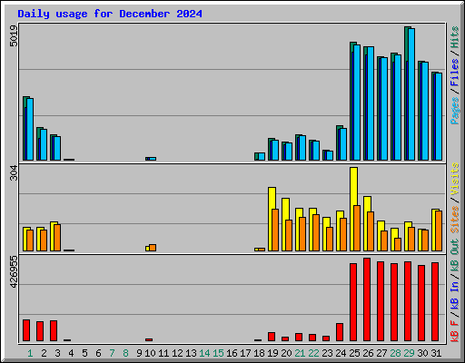 Daily usage for December 2024