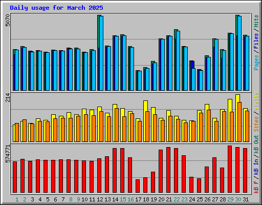 Daily usage for March 2025