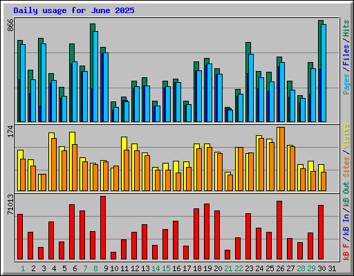 Daily usage for June 2025