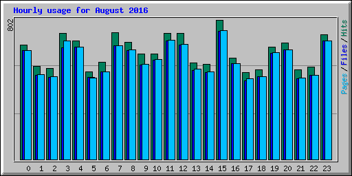 Hourly usage for August 2016