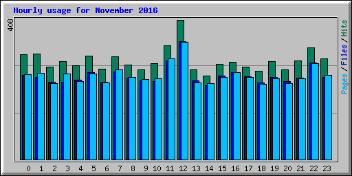 Hourly usage for November 2016