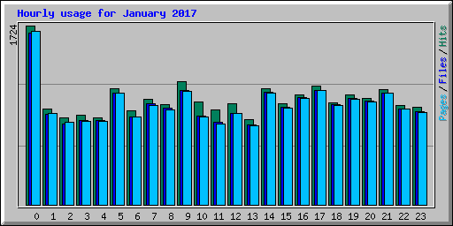 Hourly usage for January 2017
