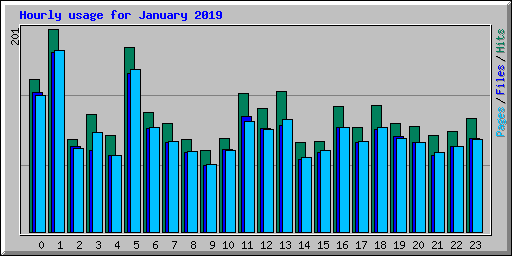 Hourly usage for January 2019