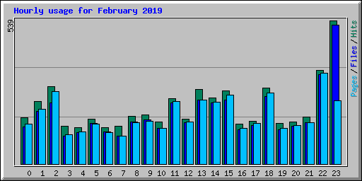 Hourly usage for February 2019