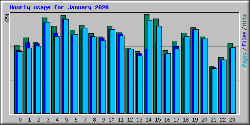 Hourly usage for January 2020