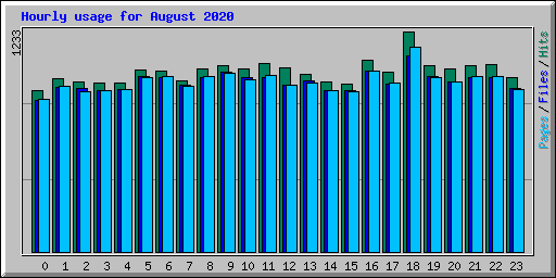 Hourly usage for August 2020