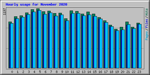 Hourly usage for November 2020