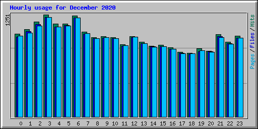 Hourly usage for December 2020