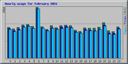 Hourly usage for February 2021