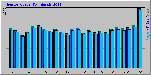 Hourly usage for March 2021