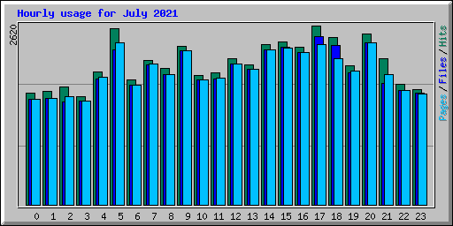 Hourly usage for July 2021