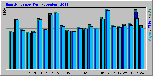 Hourly usage for November 2021