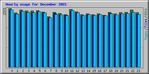Hourly usage for December 2021