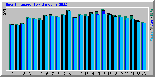 Hourly usage for January 2022