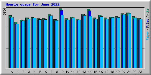 Hourly usage for June 2022