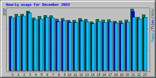Hourly usage for December 2022