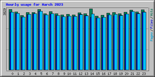 Hourly usage for March 2023