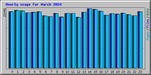 Hourly usage for March 2024