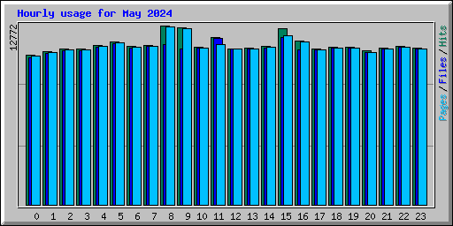 Hourly usage for May 2024