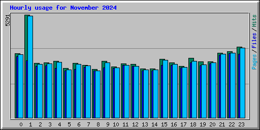 Hourly usage for November 2024