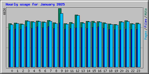 Hourly usage for January 2025