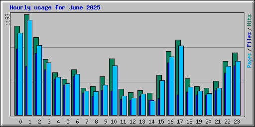 Hourly usage for June 2025