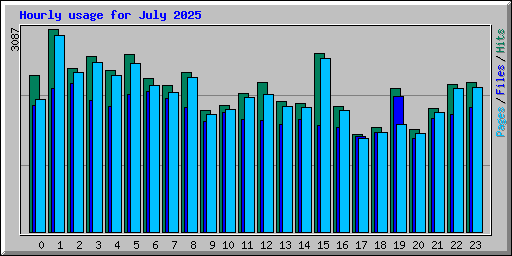 Hourly usage for July 2025