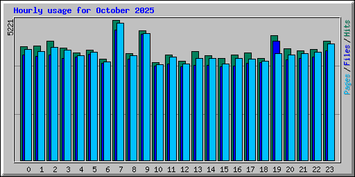 Hourly usage for October 2025