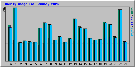 Hourly usage for January 2026